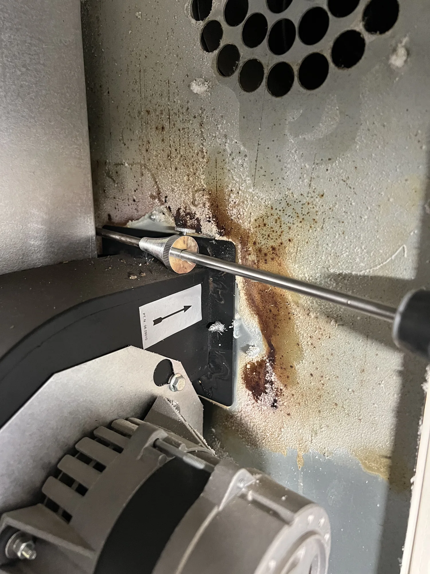 Heat exchanger and condensate area exposed during a commercial boiler service